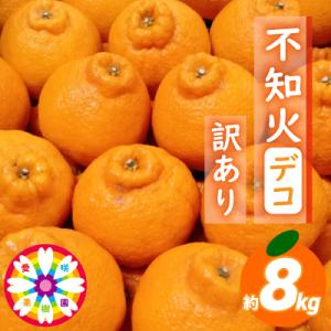 ふるさと納税 八幡浜市 愛咲果樹園 「 不知火 ( デコ )」 訳あり 約8kg【C71-13】