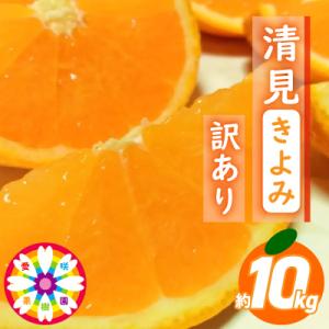 ふるさと納税 八幡浜市 愛咲果樹園 「 清見 」 訳あり 約10kg【C71-15】