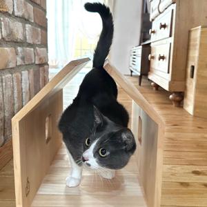 ふるさと納税 ひたちなか市 猫家具「ねこそらト...の詳細画像3