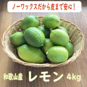 ふるさと納税 印南町 和歌山産レモン/グリーンレモン 約4kg 【国産レモン】