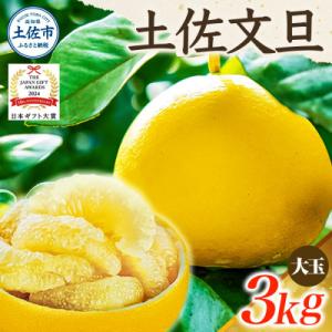ふるさと納税 土佐市 【日本ギフト大賞受賞・先行予約】園主こだわり土佐文旦 大玉3kg 家庭用 高知...