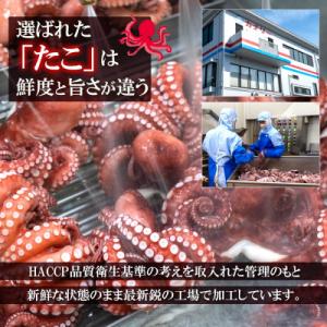 ふるさと納税 豊中市 真蛸(蒸しボイルたこ) ...の詳細画像1