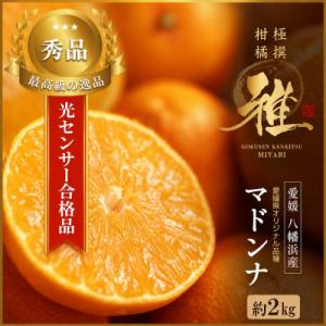 ふるさと納税 八幡浜市 極撰 柑橘 【 雅 】光センサー 合格品・プルプル食感「 マドンナ 」 2キ...