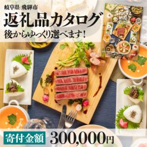 ふるさと納税 飛騨市 後からゆっくり返礼品を選べる♪ 　飛騨市 ふるさと納税 返礼品 カタログ 寄付...