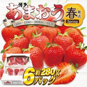 ふるさと納税 太宰府市 【2026年2月上旬〜4月下旬発送予定】博多あまおう6パック(春)