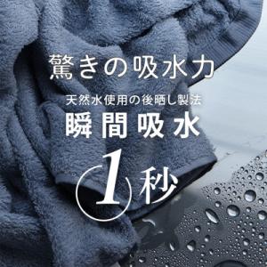 ふるさと納税 泉佐野市 ヒオリエ ホテルタオル...の詳細画像1