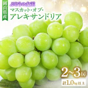 ふるさと納税 津山市 ◆先行受付◆　岡山県産　秋のマスカット・オブ・アレキサンドリア　2026年発送