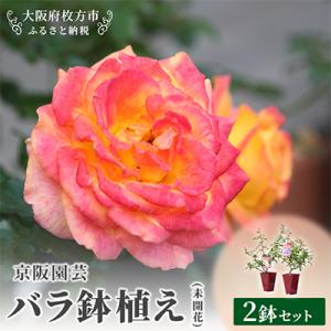 ふるさと納税 枚方市 京阪園芸 バラ 鉢植え (...の商品画像