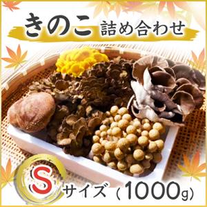 ふるさと納税 城里町 きのこの詰め合わせSサイズ(1000g)