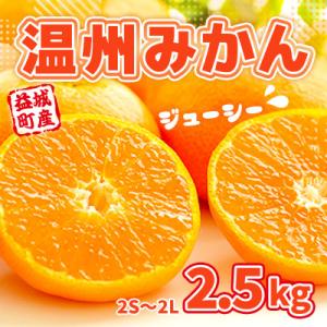 ふるさと納税 益城町 益城町産　温州みかん　約2.5kg