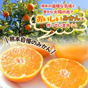 ふるさと納税 益城町 益城町産 温州みかん 約...の詳細画像1