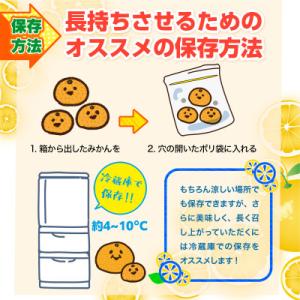 ふるさと納税 益城町 益城町産 温州みかん 約...の詳細画像2