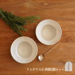 ふるさと納税 甲賀市 信楽焼 リムボウル(小) 鉄散 2枚セット