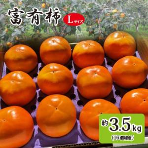 ふるさと納税 石岡市 【先行受付】富有柿L　秋の果物　茨城の柿(16玉程度)