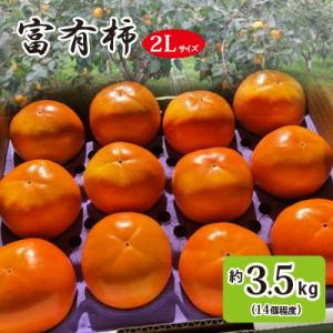 ふるさと納税 石岡市 富有柿2L　秋の果物　茨城の柿(個数おまかせ)
