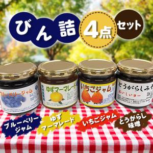 ふるさと納税 石岡市 びん詰4点セット(ゆずマーマレード・ブルーベリージャム・いちごジャム・とうがら...