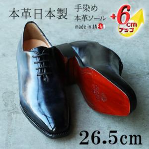 ふるさと納税 奥州市 REGAL革靴 ストレートチップ 725R ブラック＜奥州