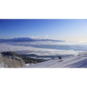 ふるさと納税 富良野市 【2026年-2027年シーズン】富良野スキー場リフト1日券(5枚)
