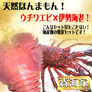ふるさと納税 東洋町 ウチワエビ大サイズ1尾+伊勢海老中サイズ(イセエビ)1尾
