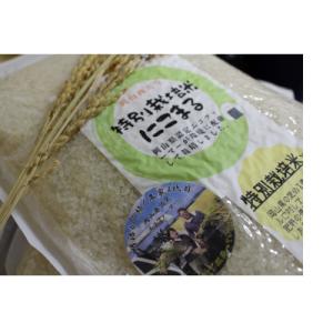 ふるさと納税 岡山市 【数量限定】令和6年産岡山西大寺特別栽培米にこまる　精米4kg