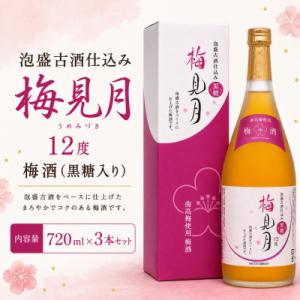 ふるさと納税 今帰仁村 【今帰仁酒造・琉球泡盛】泡盛古酒仕込み梅酒 12度 梅見月黒糖入り 720m...
