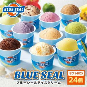 ふるさと納税 浦添市 ブルーシールギフト12種 24個セット 沖縄人気フレーバー詰め合わせ