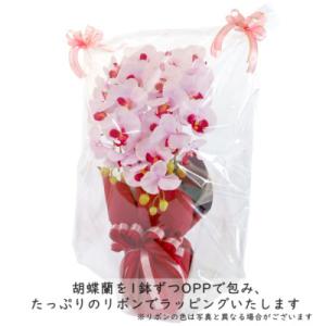 ふるさと納税 川越市 造花 シルクフラワーの胡...の詳細画像3