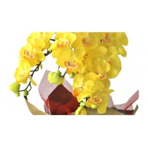 ふるさと納税 川越市 造花 シルクフラワーの胡...の詳細画像1