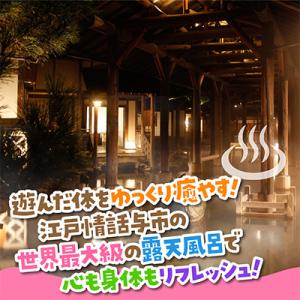 ふるさと納税 いわき市 ハワイアンズ スパリゾ...の詳細画像2