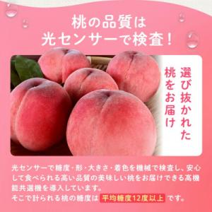 ふるさと納税 山梨市 【2027年 先行受付】...の詳細画像3