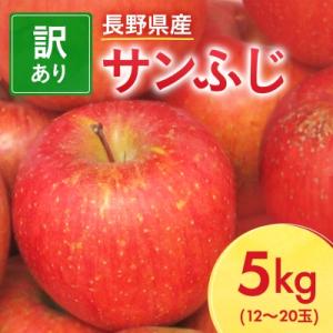ふるさと納税 中野市 【先行受付】長野県産 サンふじ りんご 家庭用 訳あり 5kg(12〜20玉)