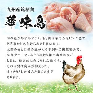 ふるさと納税 大川市 博多華味鳥 水たきセット...の詳細画像2