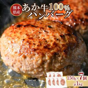 ふるさと納税 宇土市 熊本県産 あか牛100%ハンバーグ　約 1kg