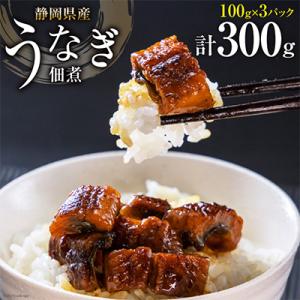 ふるさと納税 吉田町 静岡県産うなぎ佃煮100g...の商品画像