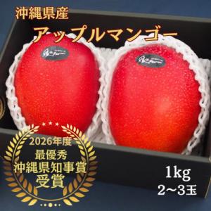 ふるさと納税 糸満市 2027年発送 沖縄県マンゴーコンテスト最優秀賞　 縁’sファームのアップルマ...