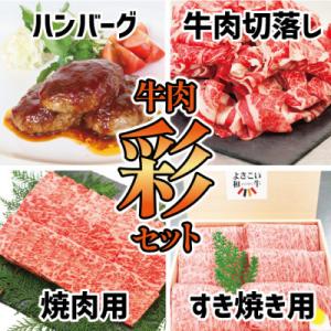 ふるさと納税 高知市 牛肉　いろどりセット　切り落とし・すき焼き・焼肉・ハンバーグ【AP059】