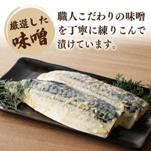 ふるさと納税 泉佐野市 【上質脂が自慢!】鯖の...の詳細画像2