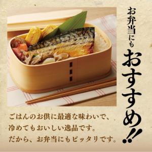 ふるさと納税 泉佐野市 【上質脂が自慢!】鯖の...の詳細画像3