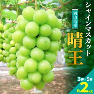 ふるさと納税 津山市 【2026年発送】岡山名産【晴王】シャインマスカット2kg!8月下旬以降順次発送
