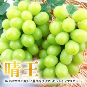 ふるさと納税 津山市 【2026年発送】岡山名...の詳細画像1