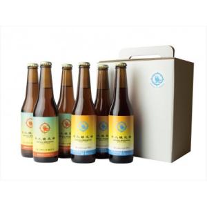 ふるさと納税 牛久市 クラフトビール2種6本セット
