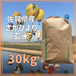 ふるさと納税 江北町 【佐賀県産】令和8年産 さがびより(新米) 玄米30kg(一等米)