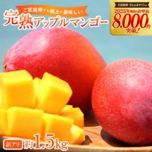 ふるさと納税 大宜味村 【2026年6月から順次...の商品画像