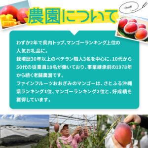 ふるさと納税 大宜味村 【2026年6月から順...の詳細画像2