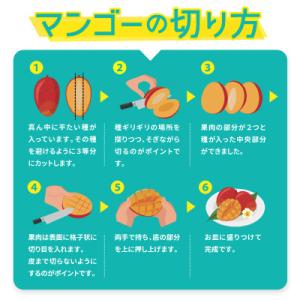 ふるさと納税 大宜味村 【2026年6月から順...の詳細画像3