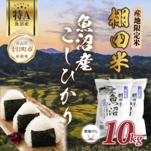 ふるさと納税 十日町市 【無地熨斗】 棚田米 魚...の商品画像