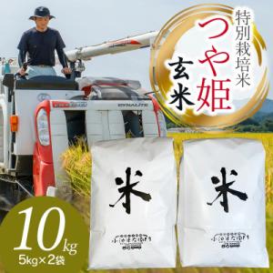 ふるさと納税 鶴岡市 【令和7年産】山形県庄内産 小池半左衛門のお米 特別栽培米 つや姫 玄米 5k...