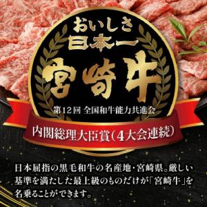 ふるさと納税 宮崎市 史上初内閣総理大臣賞4連...の詳細画像1