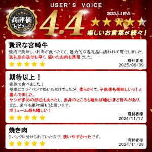 ふるさと納税 宮崎市 史上初内閣総理大臣賞4連...の詳細画像2