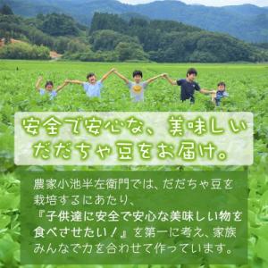 ふるさと納税 鶴岡市 【令和8年分 先行受付】...の詳細画像2